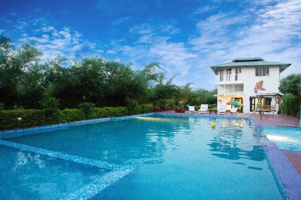 Luxury Swimming Pool Daytime View