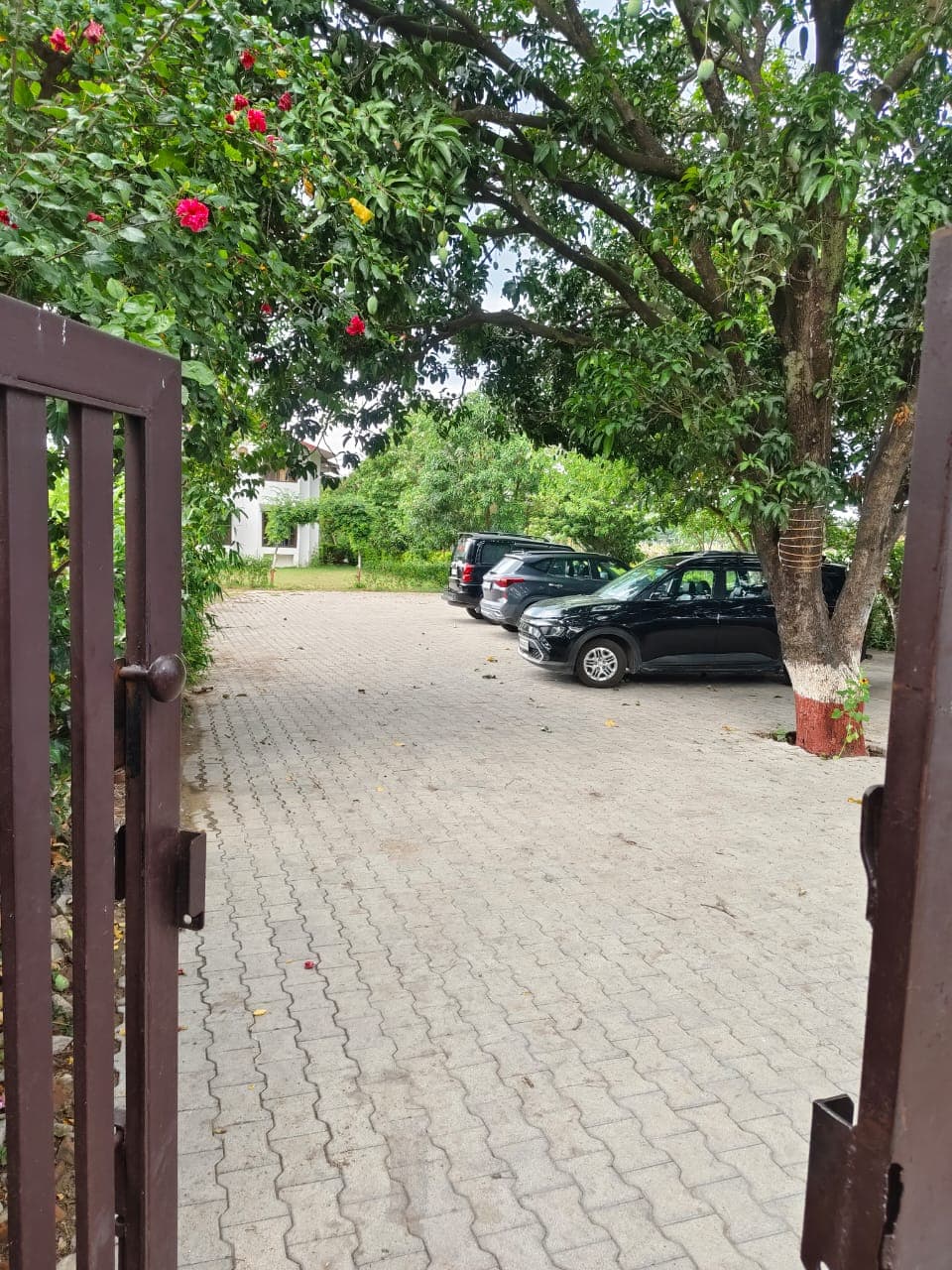 Spacious Parking Facilities 1