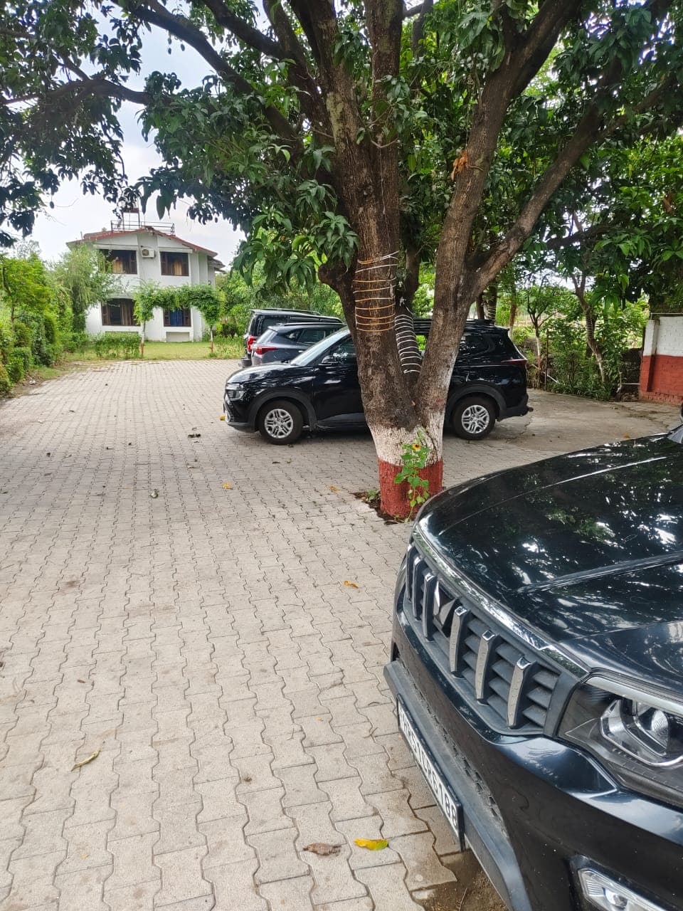 Spacious Parking Facilities 2