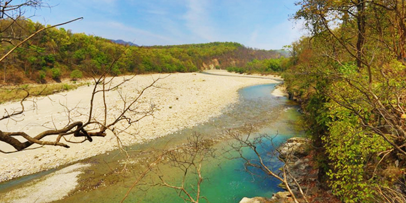 Mandal river in durgadevi zone of jim corbett park